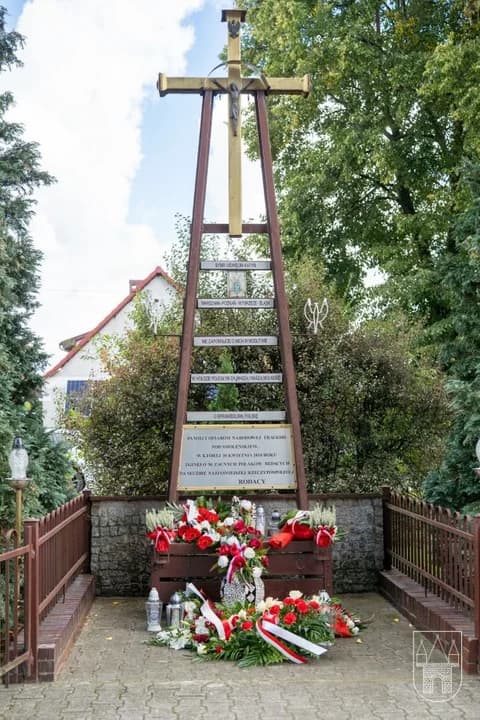 Dzień Sybiraka uczczono w Jarocinie złożeniem kwiatów i zapaleniem zniczy pod Krzyżem Martyrologii. Zabrakło prezeski [ZDJĘCIA] — zdjęcie 5 z 39