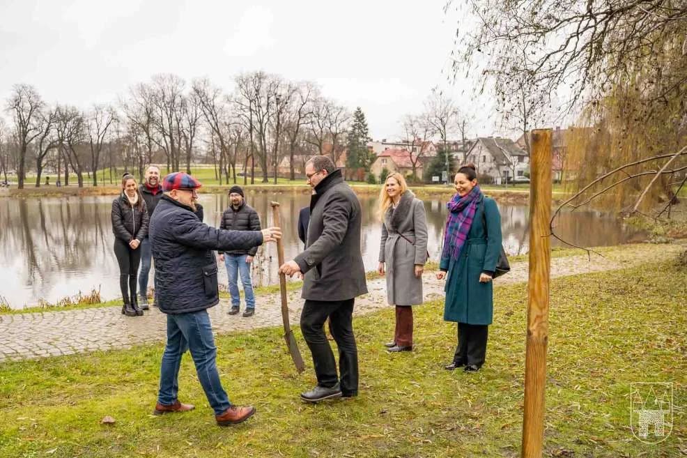 Dąb o imieniu Eugeniusz został posadzony w parku Radolińskich w Jarocinie. Dlaczego właśnie Eugeniusz? [ZDJĘCIA, SONDA]