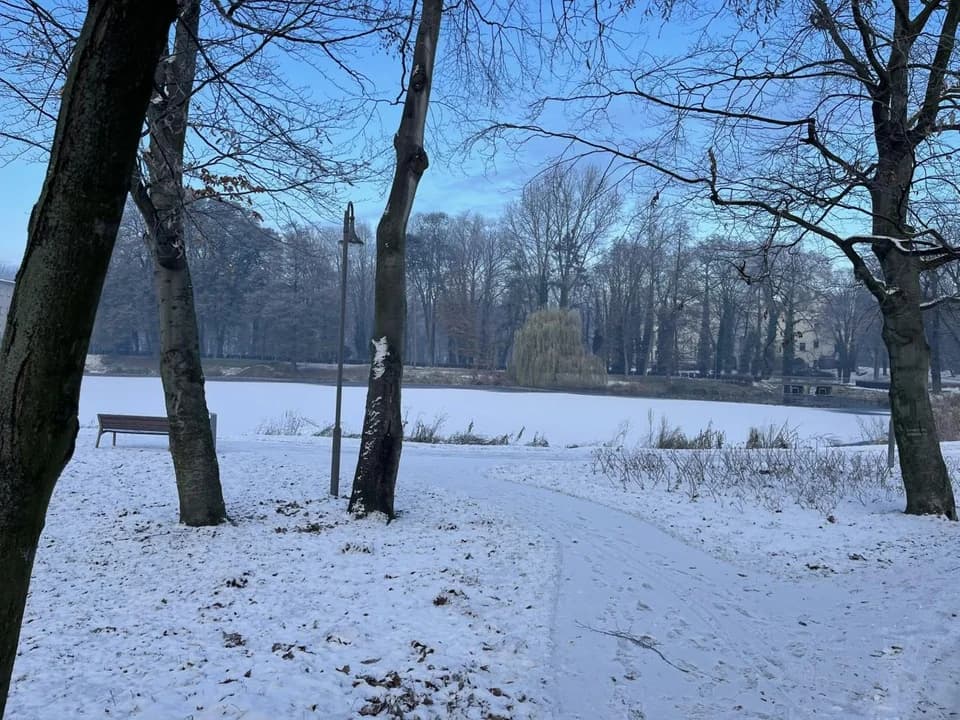 Myślała, że mężczyzna wpadł do stawu w Jarocinie. Zaalarmowała służby ratunkowe — zdjęcie 3 z 7