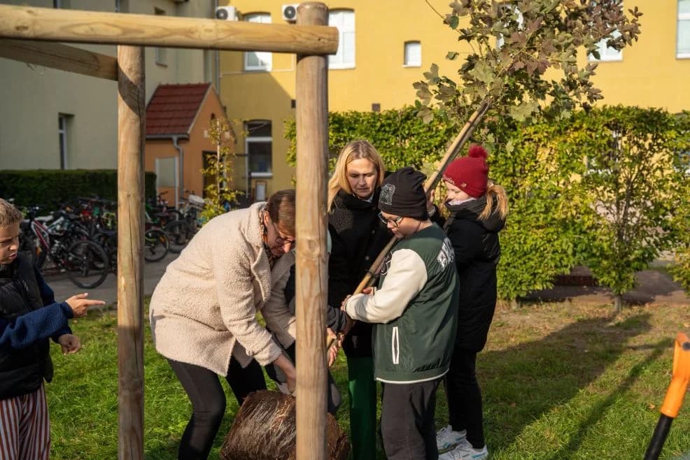 #BaumChallenge2025 — zdjęcie 1 z 37