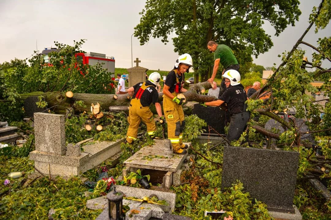 Burza w Jarocinie i okolicy. Powalone drzewa, uszkodzone nagrobki, zerwane linie energetyczne