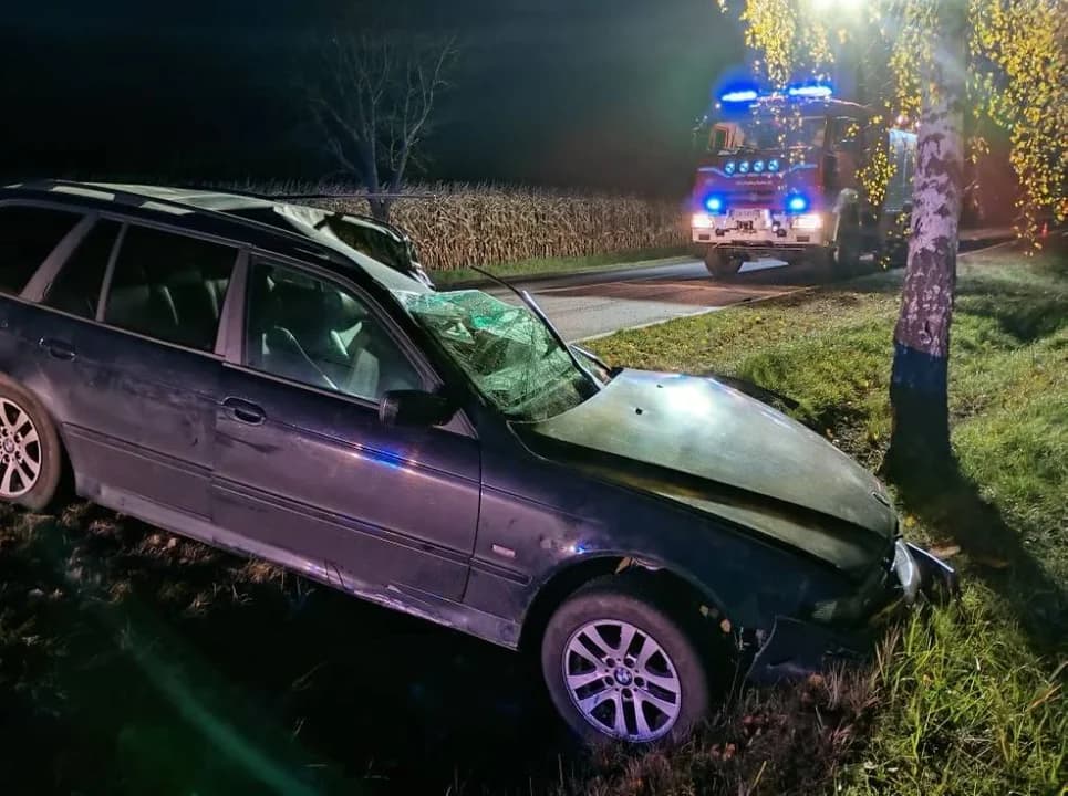 Niebezpieczny poranek na drodze. Kierowca chciał ominąć zwierzę. Razem z pasażerką trafili do szpitala. — zdjęcie 4 z 5