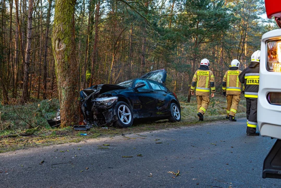 BMW uderzyła w drzewo w Wilkowyi