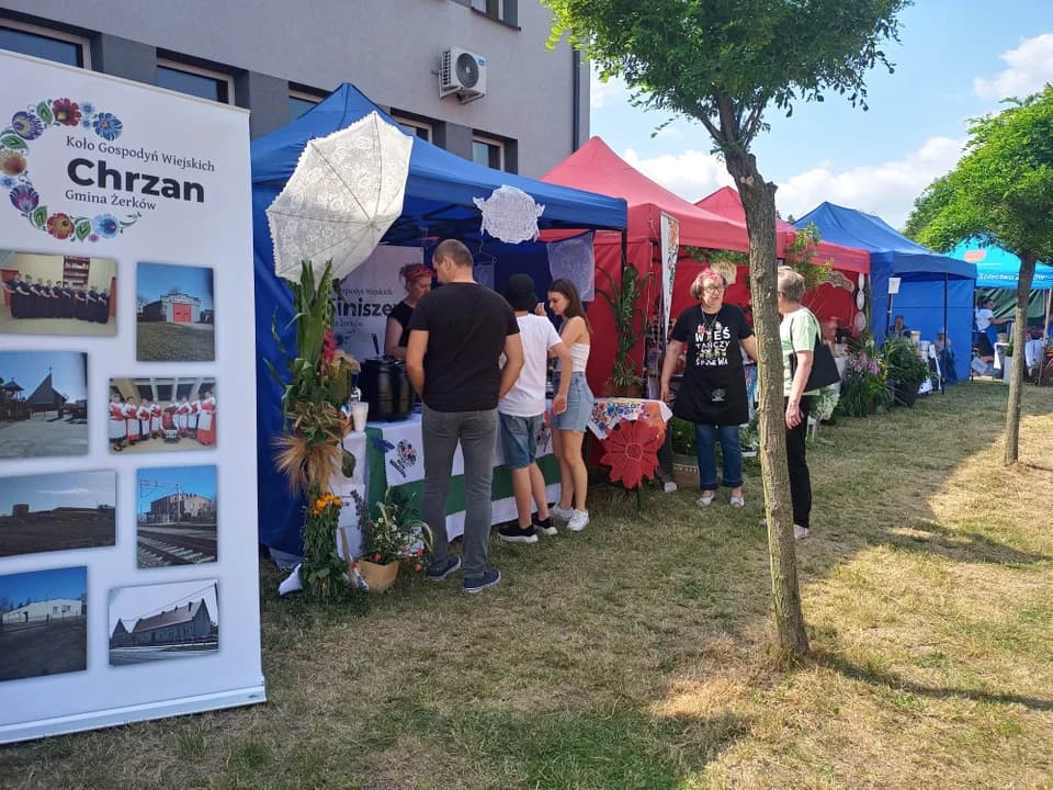 Piknik "Powitanie lata - z kulturą razem" i "Bitwa Regionów" w Kotlinie — zdjęcie 3 z 122