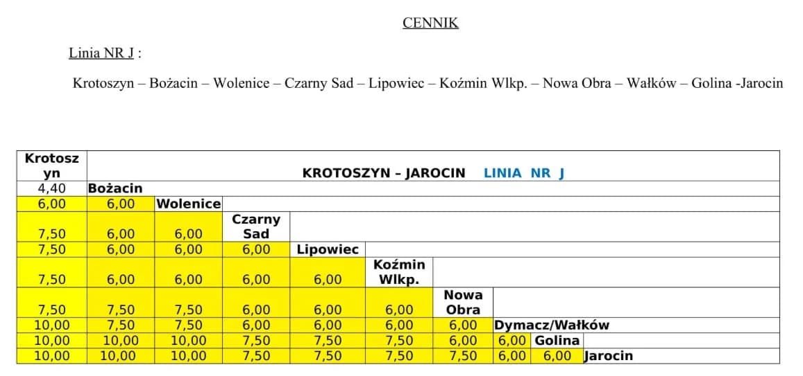 Z Jarocina do Krotoszyna dojedziesz znów autobusem. ZOBACZ rozkład jazdy i cennik biletów [GALERIA] — zdjęcie 5 z 6