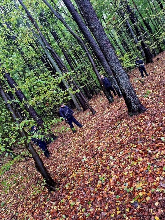 Poszukiwania nie zostały przerwane mimo deszczu.