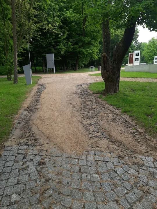 Zniszczone alejki w paku Radolińskich w Jarocinie — zdjęcie 3 z 6