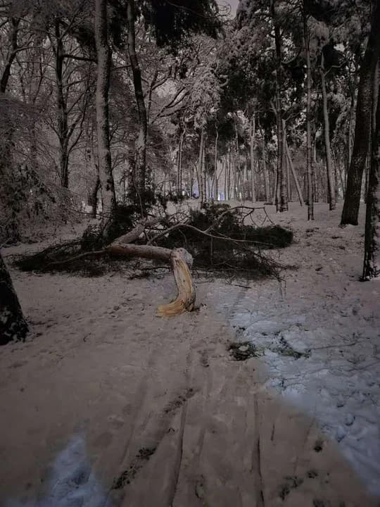 Strażacy od kilkunastu godzin usuwają skutki śnieżycy. Ile razy i gdzie interweniowali? [ZDJĘCIA, SONDA] — zdjęcie 5 z 6