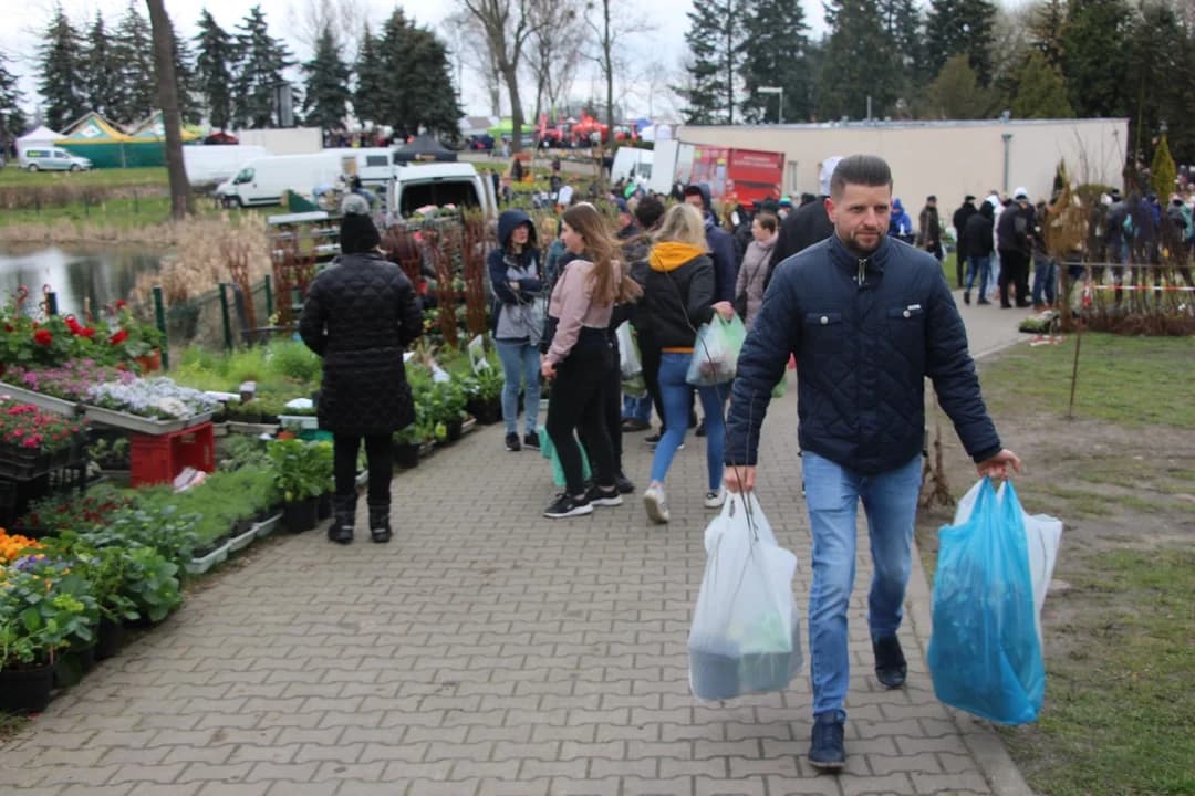AGROMARSZ 2025. Co czeka na odwiedzających wiosenne targi w Marszewie? — zdjęcie 3 z 137