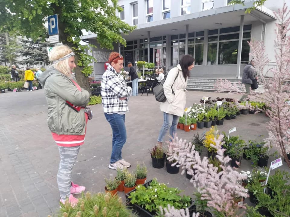 W Jarocińskim Ośrodku Kultury trwa Wiosenny Kiermasz Ogrodniczy [ZDJĘCIA] — zdjęcie 6 z 88