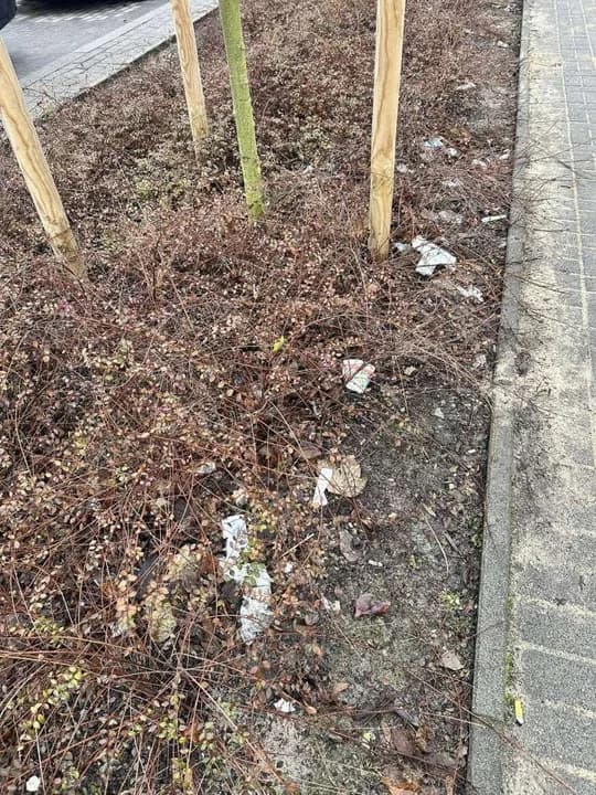 Utrzymanie porządku na terenie Jarocina — zdjęcie 5 z 22
