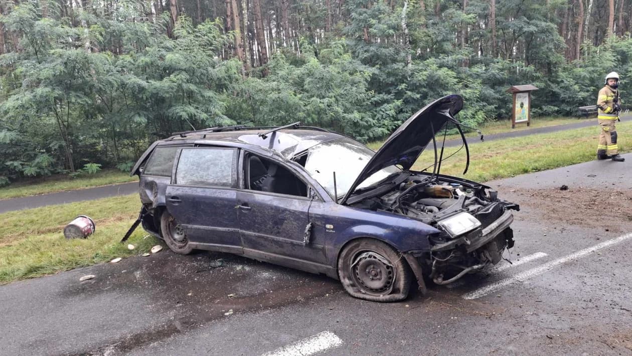 Wypadek na drodze Wilkowyja - Żerków. Auto osobowe uderzyło w drzewo — zdjęcie 3 z 5