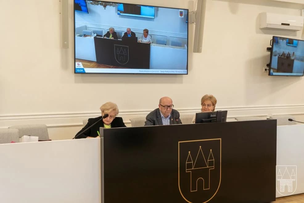 Posiedzenie Gminnej Rady Seniorów w Jarocinie — zdjęcie 3 z 4