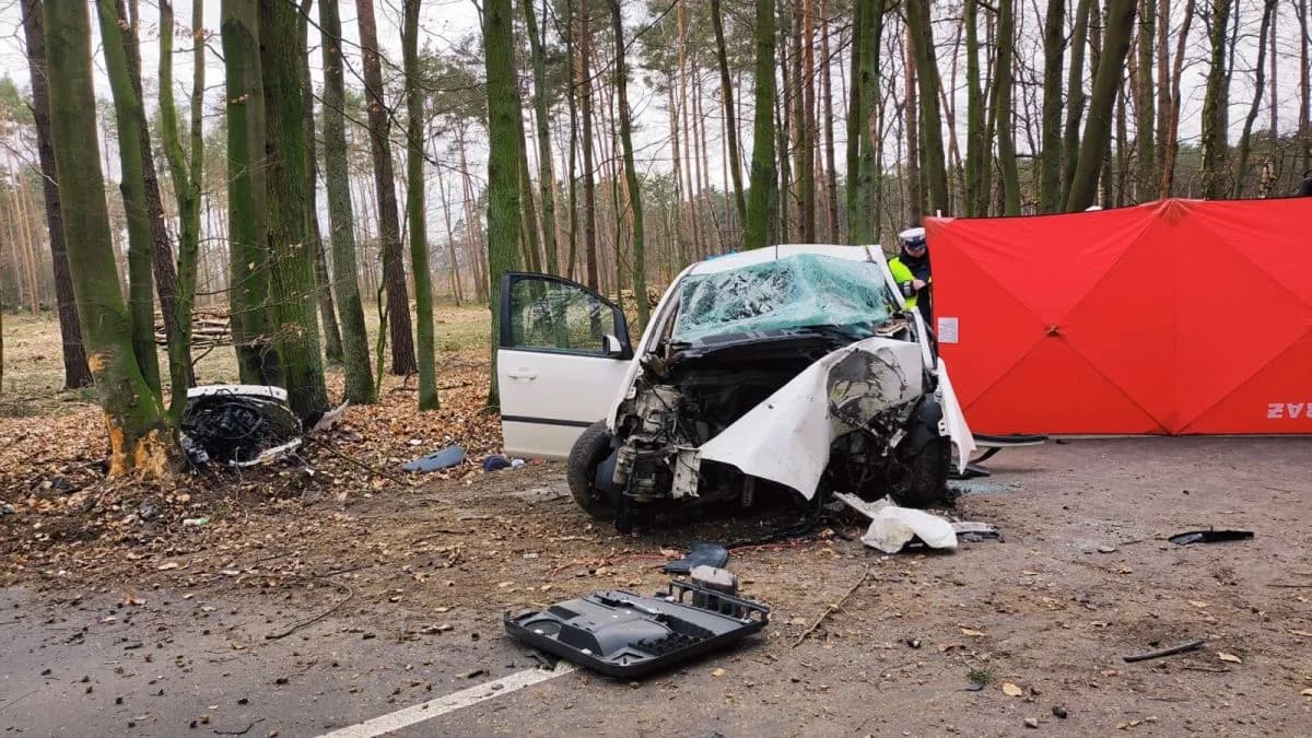 Sześć osób zginęło na drogach powiatu jarocińskiego