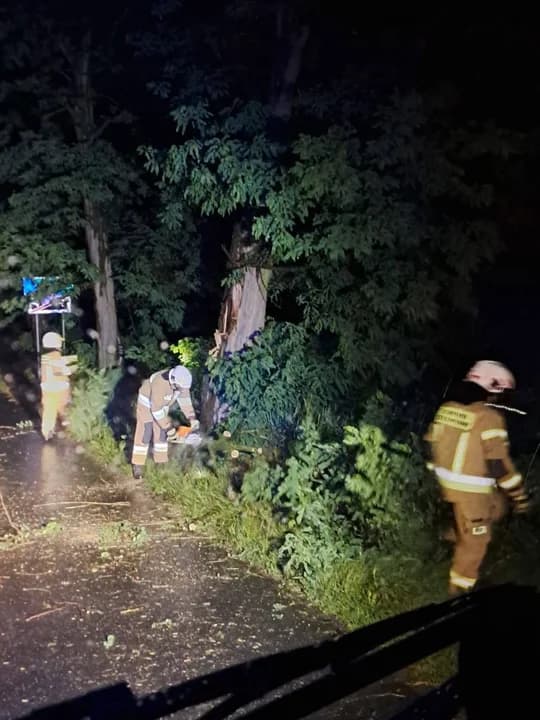 Gwałtowna burza w Jarocinie i okolicy. Zerwany dach, powalone konary drzew — zdjęcie 5 z 5