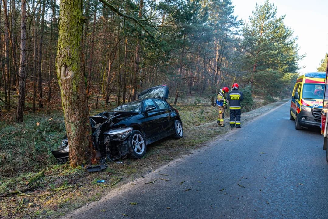 BMW uderzyła w drzewo w Wilkowyi