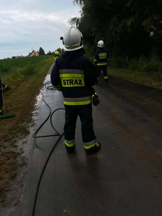 Wiatrołomy i zagrożenie na drogach. Strażacy usuwali skutki burzy — zdjęcie 6 z 9