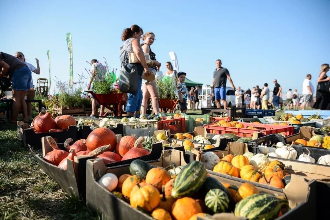Dzisiaj drugi dzień Hubertusa w Jarocinie. Zobaczcie, co się działo wczoraj [ZDJĘCIA]