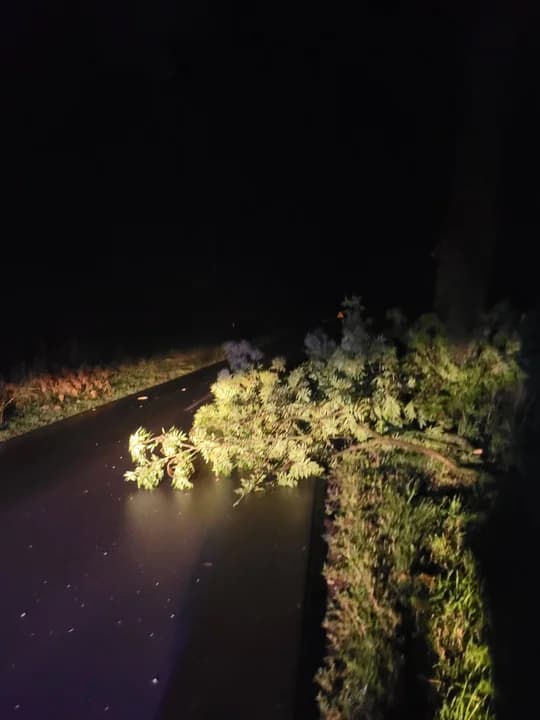 Konar drzewa spadł na drogę Raszewy-Przybysław.