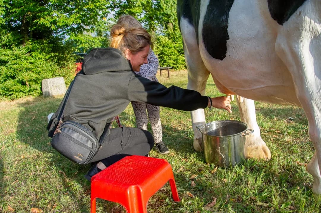Pogoda postraszyła, ale tradycja okazała się silniejsza. Wilkowyja świętowała zakończenie żniw — zdjęcie 6 z 27