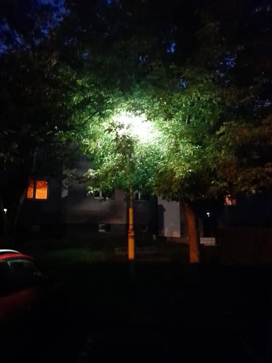 Gałęzie zasłaniają lampy na ulicy w centrum Jarocina [WIDEO] — zdjęcie 6 z 6