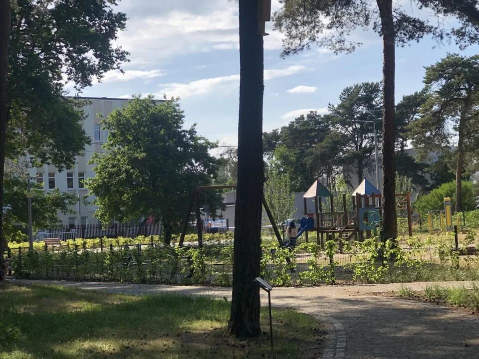 Nazwa dla parku przy ul. Szubianki — zdjęcie 2 z 12