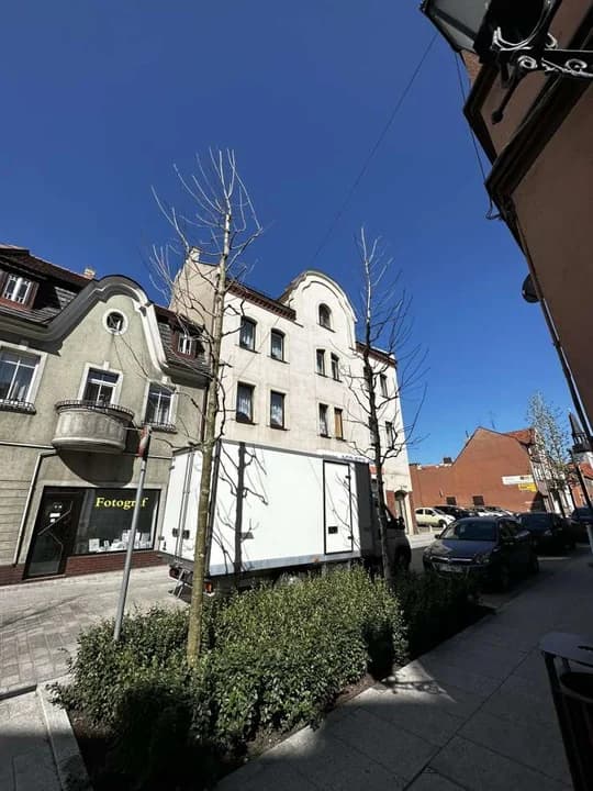 Drzewa w centrum Jarocina — zdjęcie 5 z 20