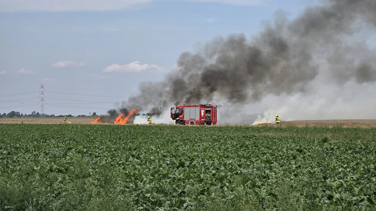 Pożar na polu w Potarzycy. Trzy zastępy straży w akcji [ZDJĘCIA] — zdjęcie 5 z 12