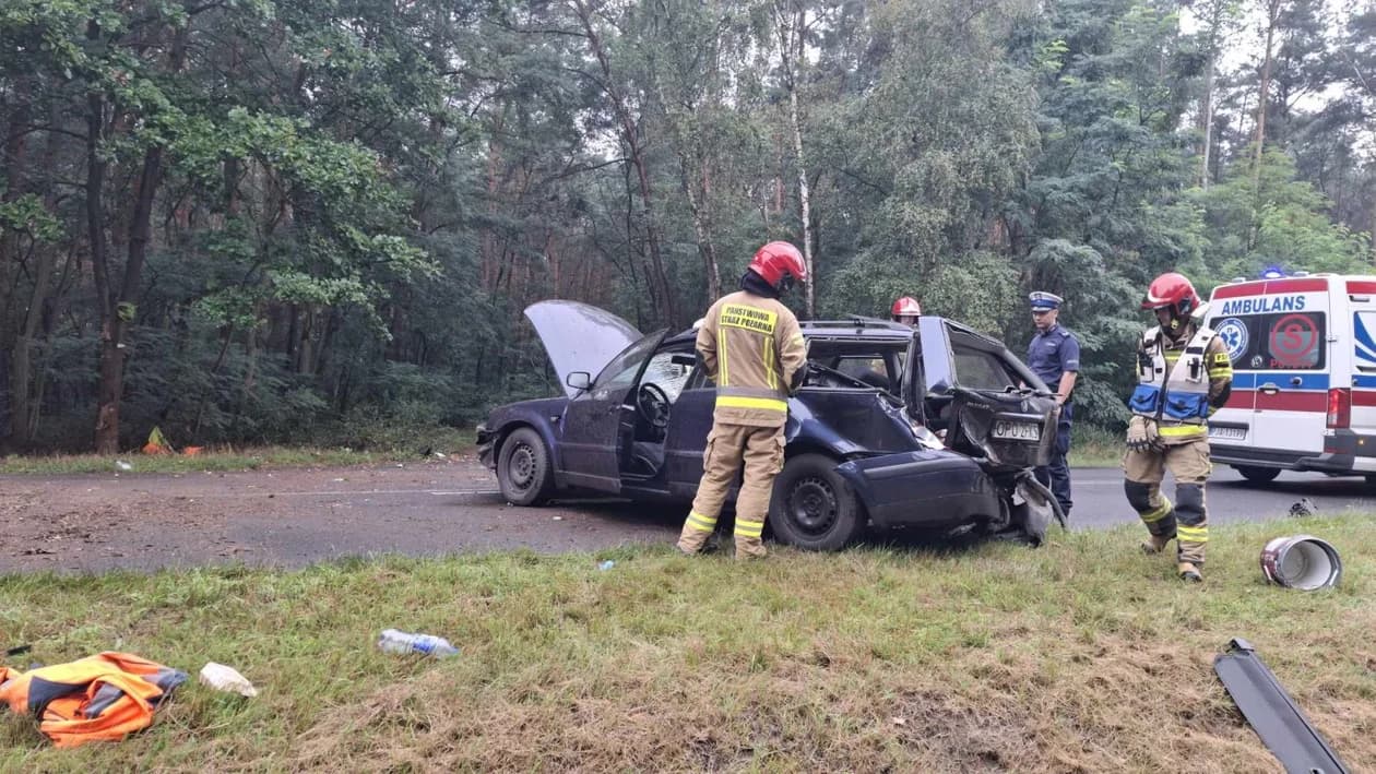 Wypadek na drodze Wilkowyja - Żerków. Auto osobowe uderzyło w drzewo — zdjęcie 4 z 5
