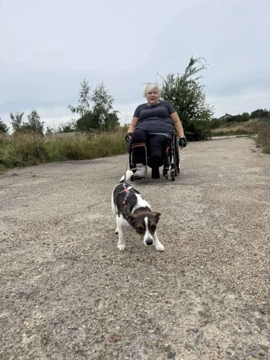 Florka zamieniła boks w schronisku na mieszkanie w Poznaniu. Nie przeszkadza nawet to, że jej pani jeździ na wózku — zdjęcie 6 z 11