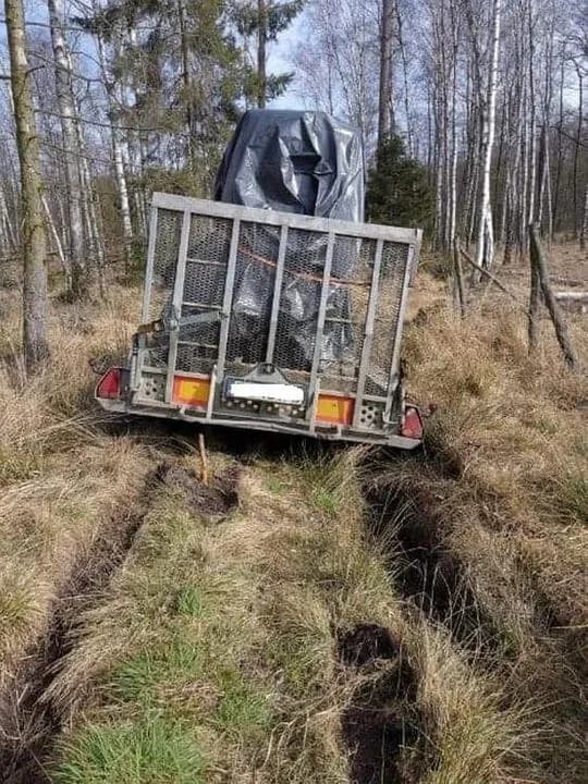Zorganizowana ekipa od rzucania mięsem przez płot i włamywacz, który wyjadł... tort. To nie są jaja... — zdjęcie 4 z 5