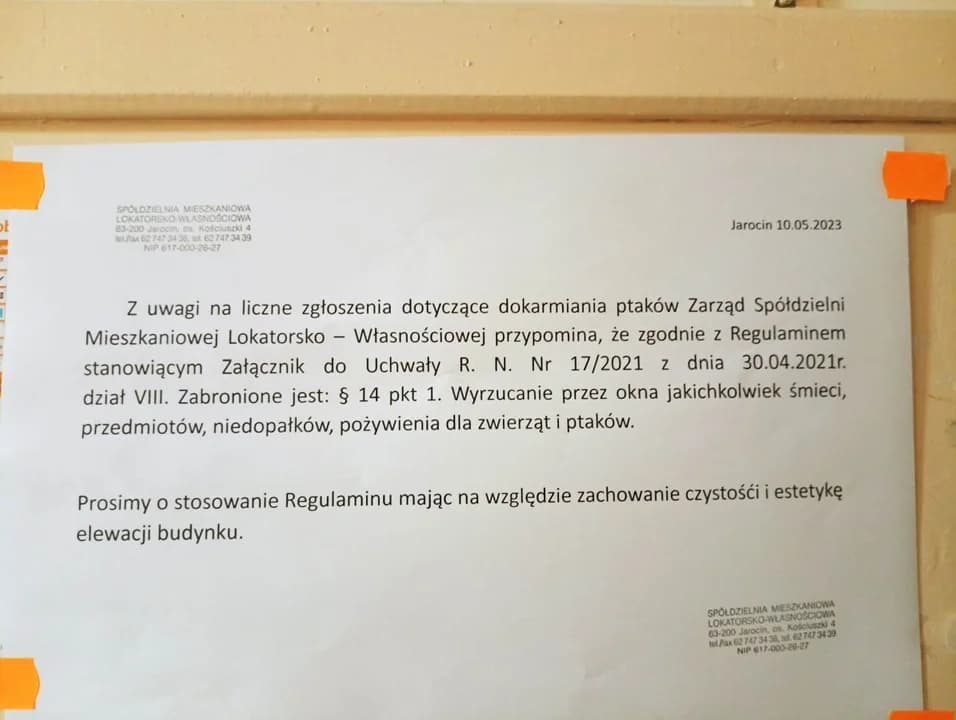 "Nie ma serca nie karmić gołąbków" - horror mieszkańców trzech bloków w Jarocinie — zdjęcie 4 z 27