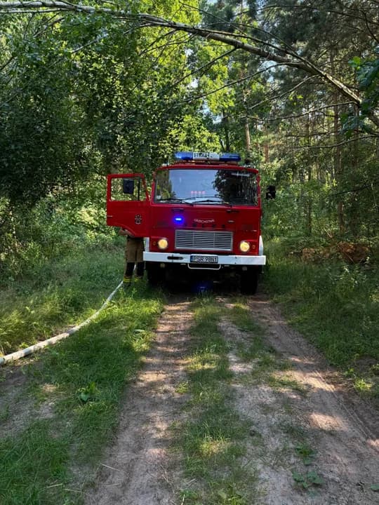 Reprezentant Polski wśród świadków pożaru. Szybkie zgłoszenie pomogło uratować las — zdjęcie 6 z 6