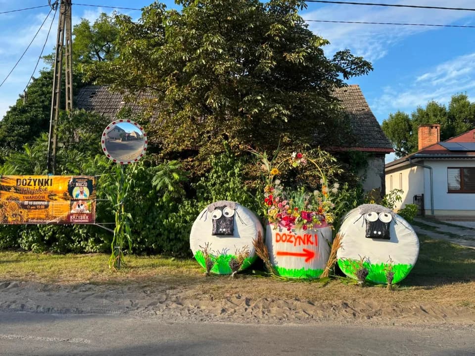Dożynki wiejskie w Twardowie. Tak mieszkańcy rozgrzewali się przed powiatowym świętem plonów [ZDJĘCIA] — zdjęcie 2 z 67