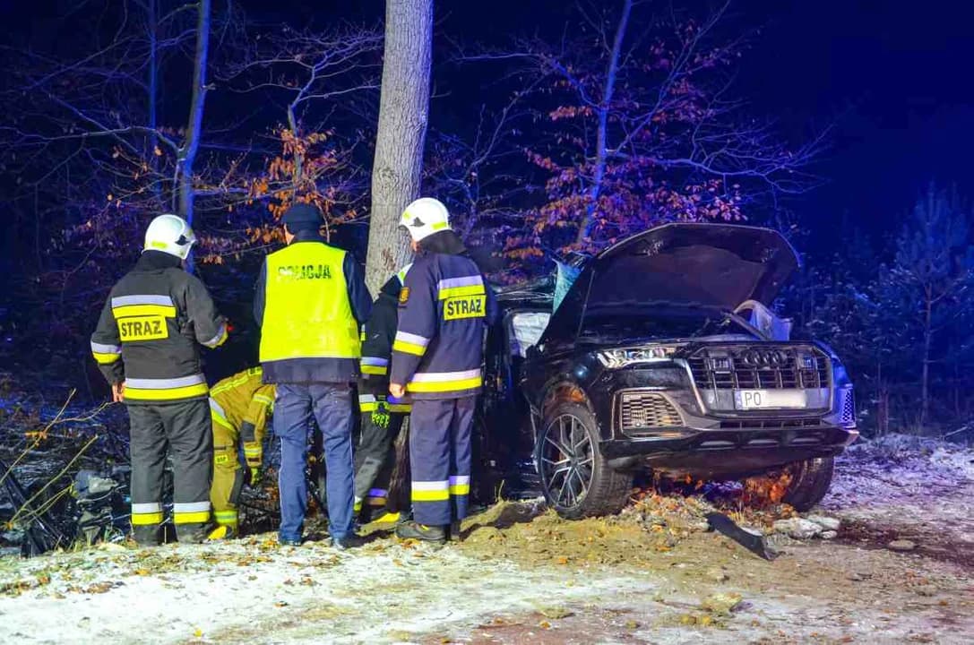 Audi uderzyło w drzewo na trasie Wilkowyja - Jarocin [ZDJĘCIA]