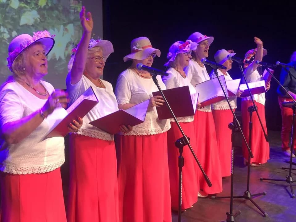V Festiwal Piosenki Biesiadnej i Ludowej w Jarocinie — zdjęcie 3 z 338