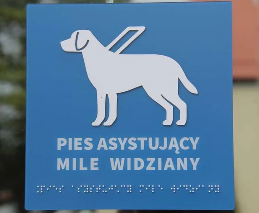 Dostosowanie Starostwie Powiatowym w Jarocinie do potrzeb osób z niepełnosprawnościami — zdjęcie 6 z 7
