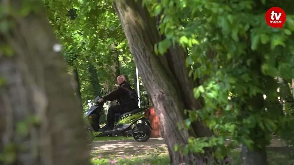 Ochrona w parku Radolińskich w Jarocinie — zdjęcie 1 z 3