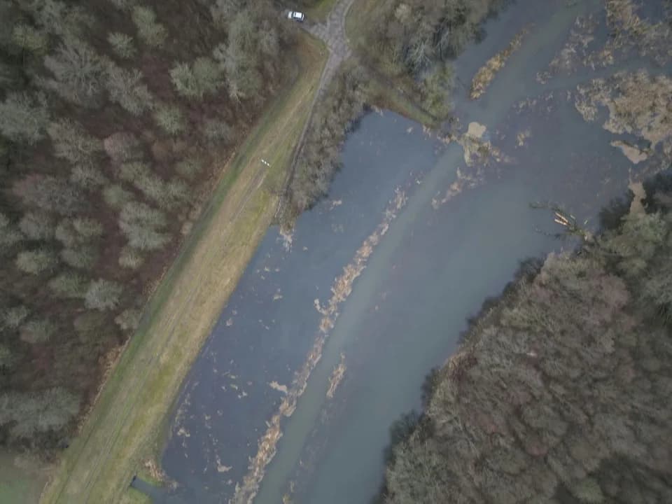 Leśników z Nadleśnictwa Jarocin cieszy to, że Lutynia się rozlewa — zdjęcie 2 z 6