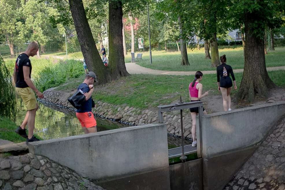 W parku Radolińskich brakuje kilku mostków nad ciekami wodnymi. Mają być, ale kiedy? [ZDJĘCIA]