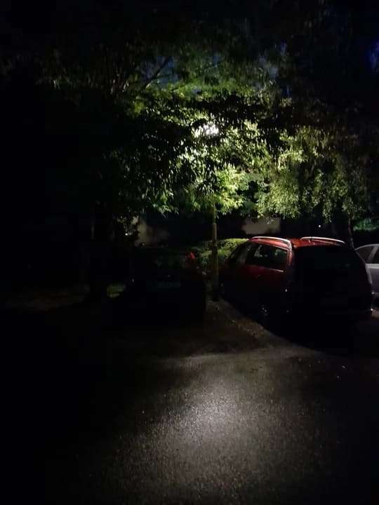 Gałęzie zasłaniają lampy na ulicy w centrum Jarocina [WIDEO] — zdjęcie 5 z 6