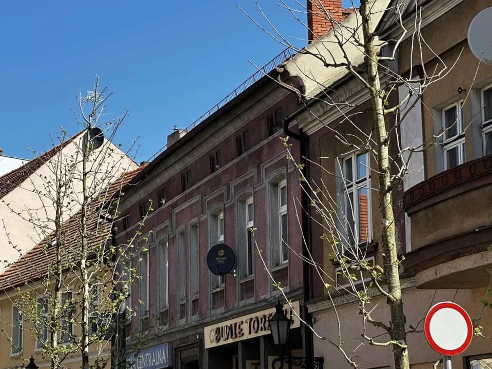 Drzewa w centrum Jarocina — zdjęcie 3 z 20