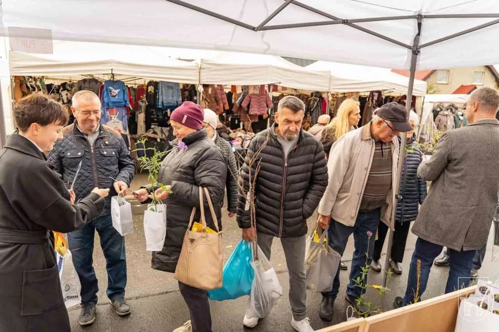 W ramach akcji „Zazieleniamy Jarocin” rozdawali darmowe rośliny na targowisku [ZDJĘCIA]