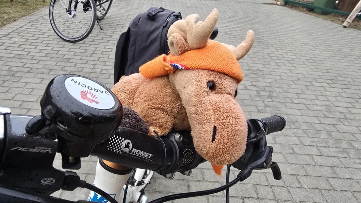 Tygrys, jednorożec i... puszka WOŚP. Egzotyczny rajd przejechał przez powiat! [ZDJĘCIA] — zdjęcie 4 z 105