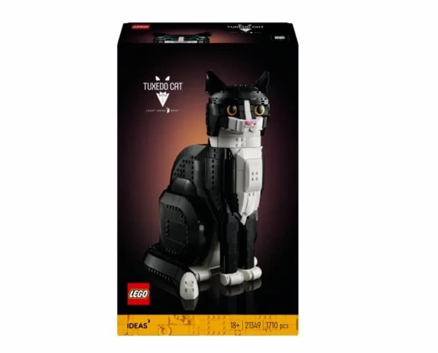 Lego – do wyboru, do koloru, dla starszych i młodszych nastolatków