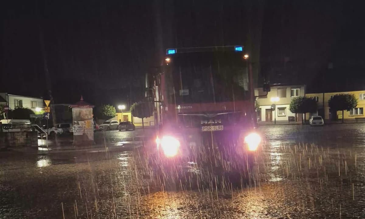10 razy interweniowali strażacy na terenie gminy Nowe Miasto