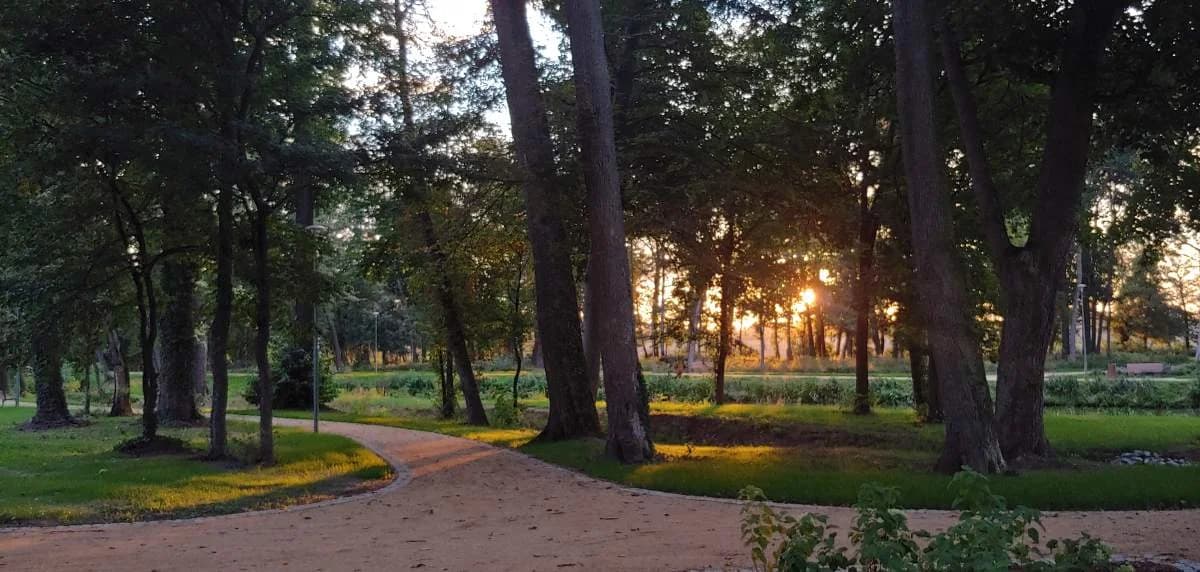 Park w Jaraczewie wygrał konkurs za rewitalizację. Nagrodę przyznało Towarzystwo Urbanistów Polskich