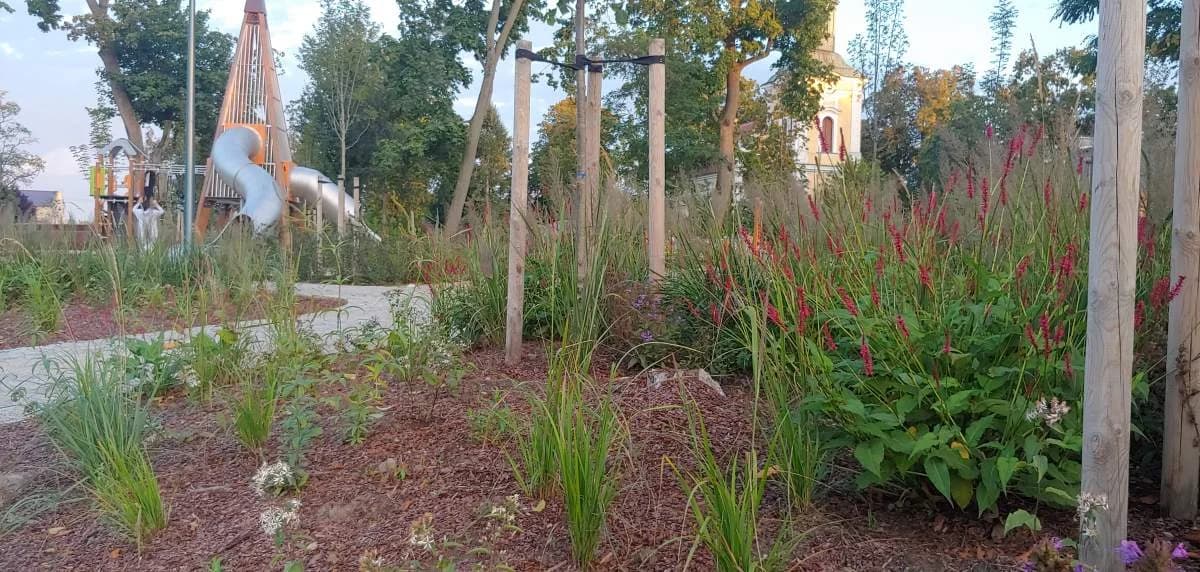 Park w Jaraczewie wygrał konkurs za rewitalizację. Nagrodę przyznało Towarzystwo Urbanistów Polskich