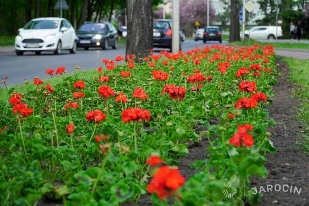Gmina Jarocin nagrodzona w konkursie na „Najlepiej Zagospodarowaną Przestrzeń Publiczną w Wielkopolsce” [ZDJĘCIA]