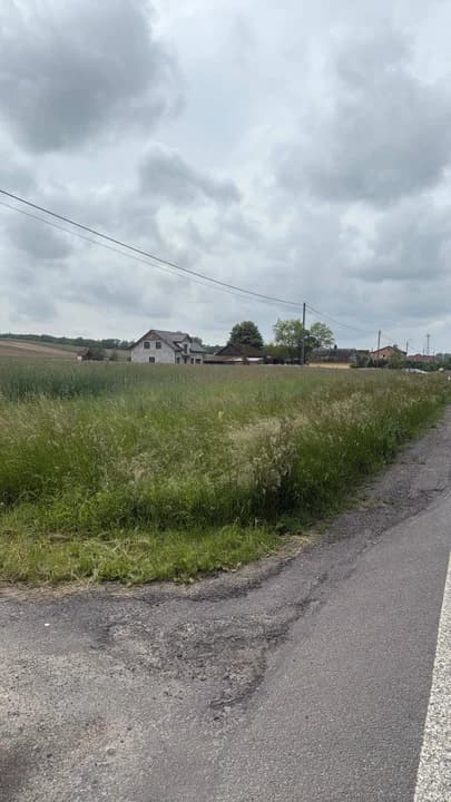 Zarośnięte pobocza przy drodze krajowej nr 12 w gminie Jaraczewo. Kiedy zostaną wykoszone? — zdjęcie 2 z 2